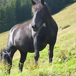 Oberhof * Ваграйн