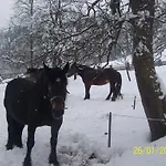 Oberhof Wagrain