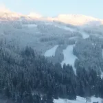 Oberhof Apartament *