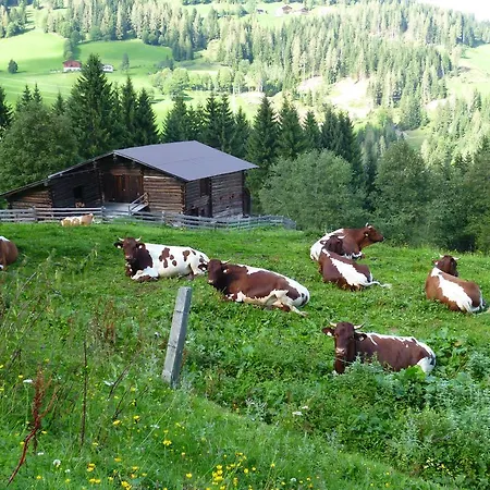 Oberhof * Wagrain