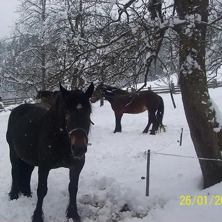 Oberhof Wagrain