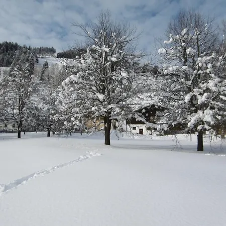 Oberhof Apartmán Wagrain