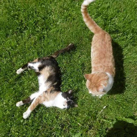 Apartmán Oberhof Wagrain