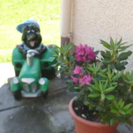 Apartmán Oberhof Wagrain