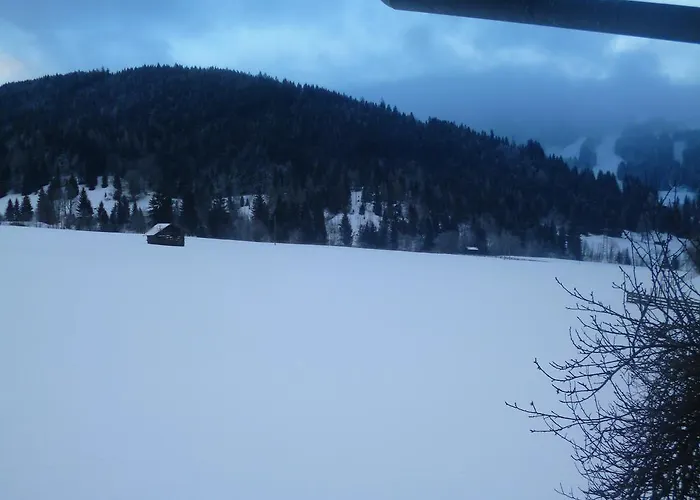 公寓 奥伯霍夫公寓 *