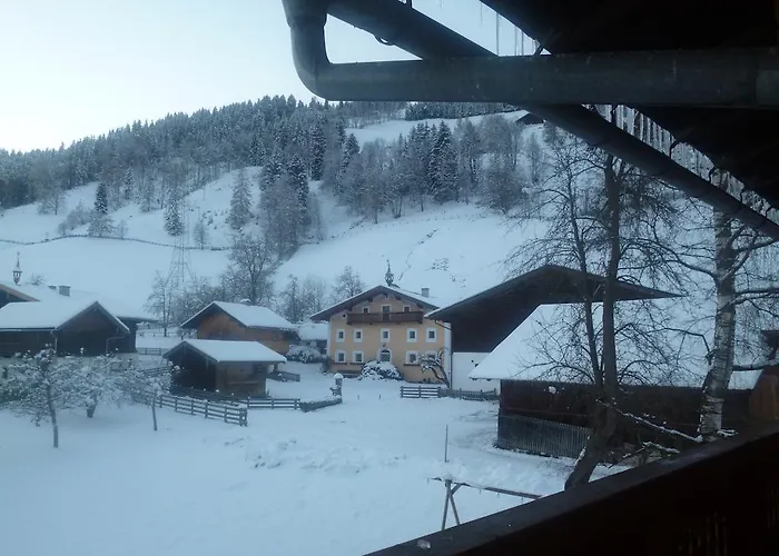 公寓 奥伯霍夫公寓 *