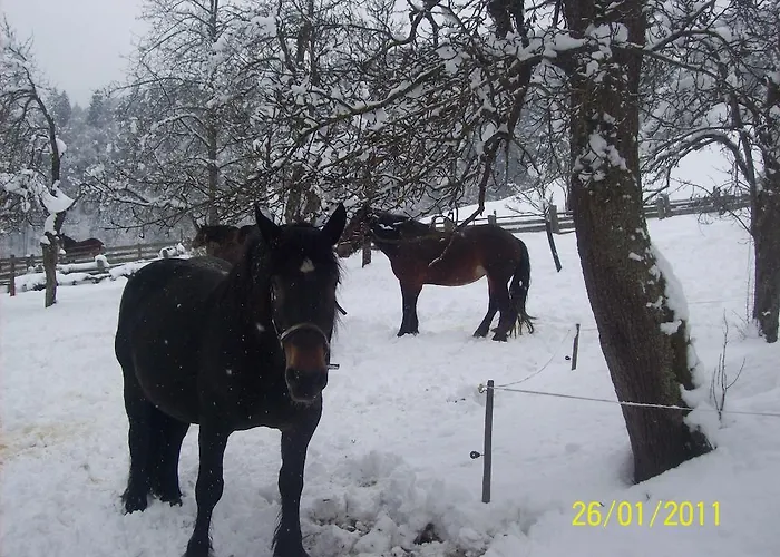 奥伯霍夫公寓 瓦格赖恩