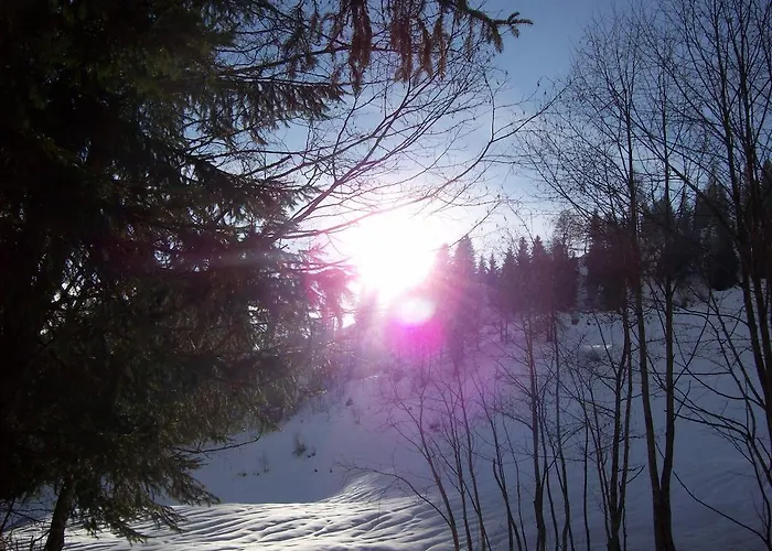 公寓 奥伯霍夫公寓 *