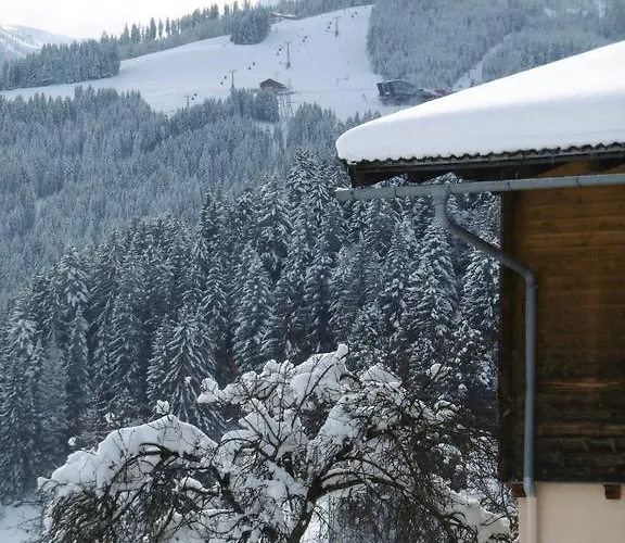 公寓 奥伯霍夫公寓 瓦格赖恩