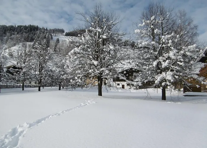 奥伯霍夫公寓 公寓 瓦格赖恩