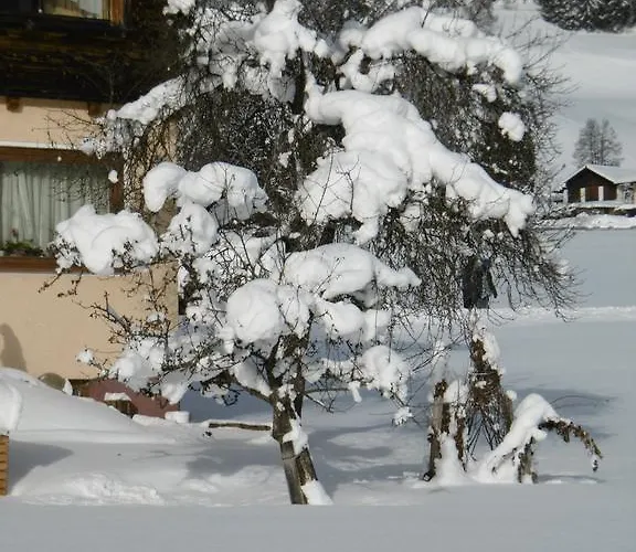 公寓 奥伯霍夫公寓 *