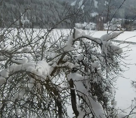 公寓 奥伯霍夫公寓 瓦格赖恩