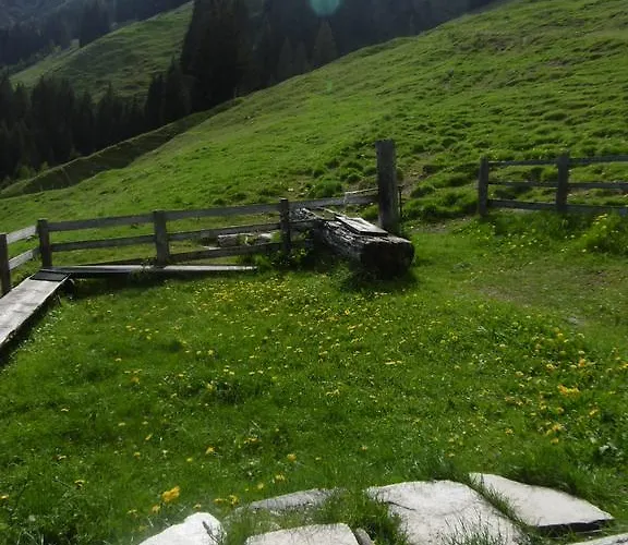 公寓 奥伯霍夫公寓 *