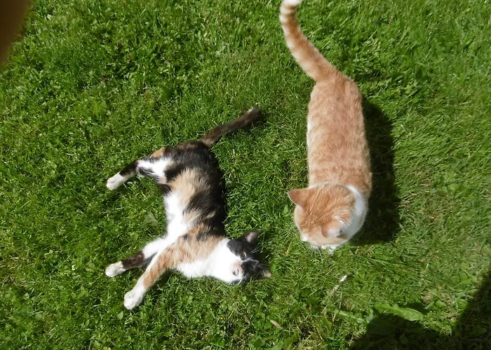 公寓 奥伯霍夫公寓 瓦格赖恩