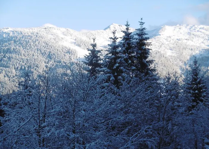 奥伯霍夫公寓 公寓