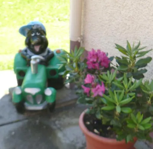 公寓 奥伯霍夫公寓 瓦格赖恩