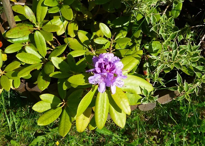 奥伯霍夫公寓 瓦格赖恩